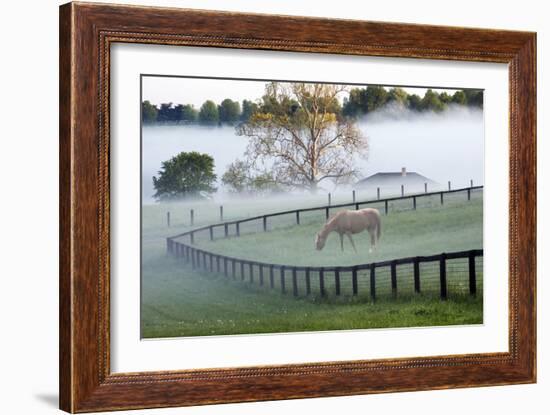 Horses in the Mist #3, Kentucky ‘08-Monte Nagler-Framed Photographic Print