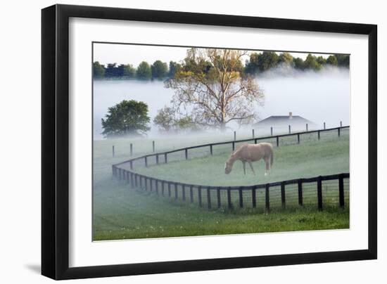 Horses in the Mist #3, Kentucky ‘08-Monte Nagler-Framed Photographic Print