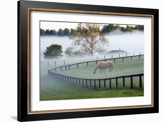 Horses in the Mist #3, Kentucky ‘08-Monte Nagler-Framed Photographic Print