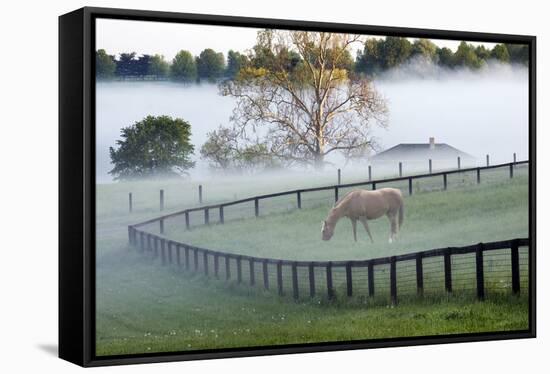 Horses in the Mist #3, Kentucky ‘08-Monte Nagler-Framed Stretched Canvas