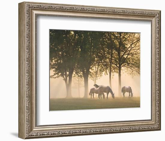 Horses in the Mist-Monte Nagler-Framed Art Print