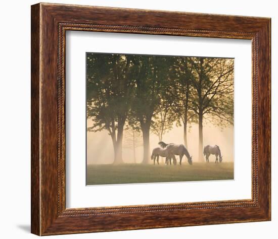 Horses in the Mist-Monte Nagler-Framed Art Print