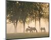 Horses in the Mist-Monte Nagler-Mounted Art Print