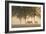 Horses in the mist-Monte Nagler-Framed Photographic Print