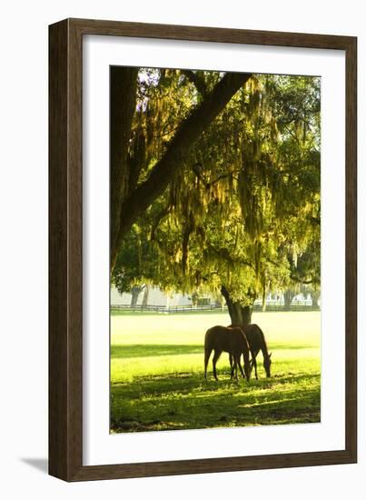 Horses in the Sunrise 8-Alan Hausenflock-Framed Photographic Print