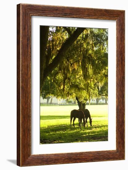 Horses in the Sunrise 8-Alan Hausenflock-Framed Photographic Print