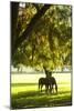 Horses in the Sunrise 8-Alan Hausenflock-Mounted Photographic Print