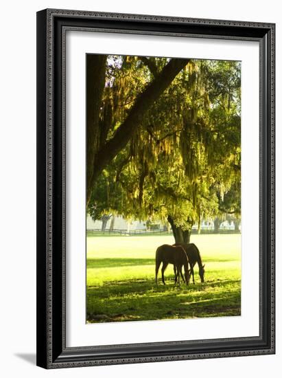 Horses in the Sunrise 8-Alan Hausenflock-Framed Photographic Print