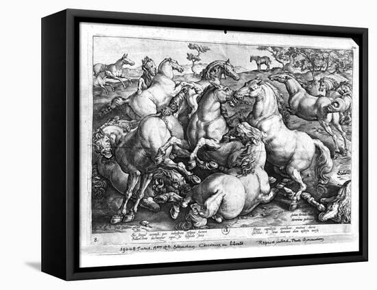 Horses in the Wild-Jan van der Straet-Framed Premier Image Canvas