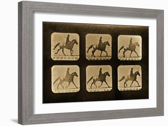 Horses. Irregular, 'Animal Locomotion' Series, C.1881-Eadweard Muybridge-Framed Giclee Print