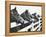 Horses Looking Over Fence at Alfred Vanderbilt's Farm-Jerry Cooke-Framed Premier Image Canvas