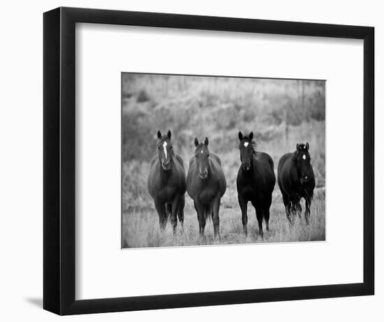 Horses, Montana, USA-Russell Young-Framed Photographic Print