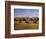 Horses on Moran Junction at Grand Teton National Park, Wyoming, USA-Stuart Westmorland-Framed Photographic Print