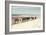 Horses on the Beach-Kathy Mansfield-Framed Photographic Print