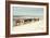 Horses on the Beach-Kathy Mansfield-Framed Photographic Print