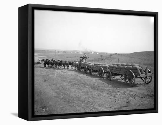 Horses Pulling Wheat Wagons, 1915-Ashael Curtis-Framed Premier Image Canvas