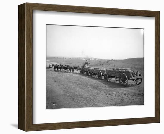 Horses Pulling Wheat Wagons, 1915-Ashael Curtis-Framed Giclee Print