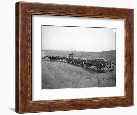 Horses Pulling Wheat Wagons, 1915-Ashael Curtis-Framed Giclee Print