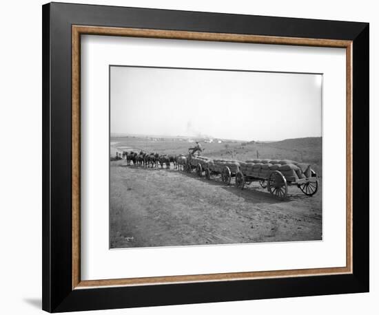 Horses Pulling Wheat Wagons, 1915-Ashael Curtis-Framed Giclee Print