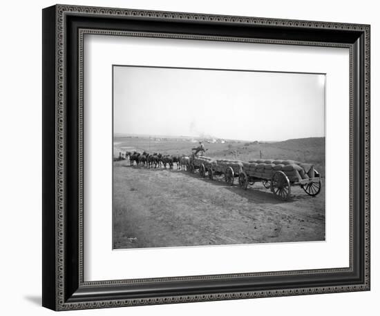 Horses Pulling Wheat Wagons, 1915-Ashael Curtis-Framed Giclee Print