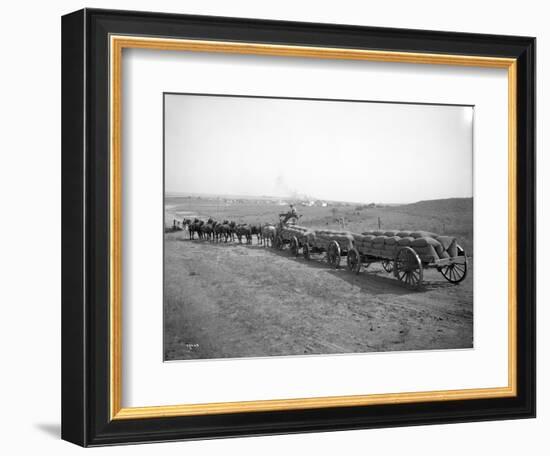 Horses Pulling Wheat Wagons, 1915-Ashael Curtis-Framed Giclee Print