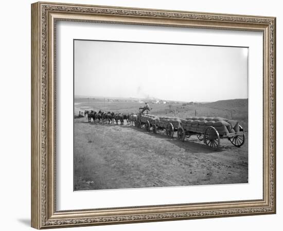 Horses Pulling Wheat Wagons, 1915-Ashael Curtis-Framed Giclee Print