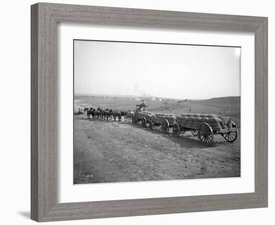 Horses Pulling Wheat Wagons, 1915-Ashael Curtis-Framed Giclee Print