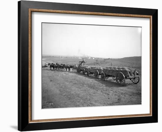 Horses Pulling Wheat Wagons, 1915-Ashael Curtis-Framed Giclee Print