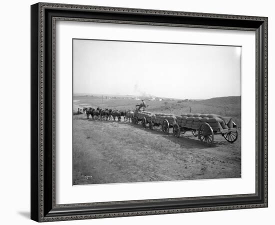 Horses Pulling Wheat Wagons, 1915-Ashael Curtis-Framed Giclee Print