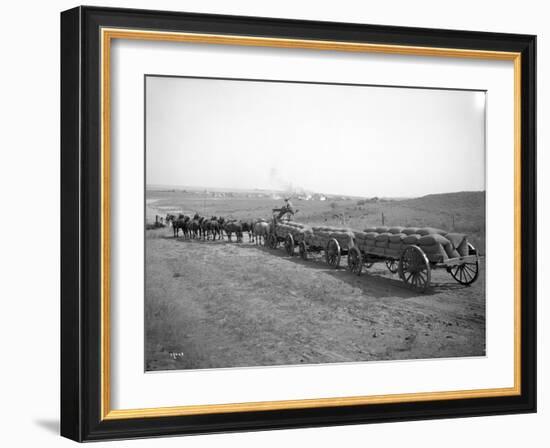 Horses Pulling Wheat Wagons, 1915-Ashael Curtis-Framed Giclee Print