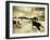 Horses Running and Playing in Barren Field-Jan Lakey-Framed Photographic Print