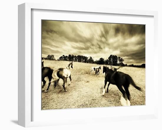 Horses Running and Playing in Barren Field-Jan Lakey-Framed Photographic Print