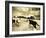 Horses Running and Playing in Barren Field-Jan Lakey-Framed Photographic Print