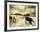 Horses Running and Playing in Barren Field-Jan Lakey-Framed Photographic Print