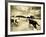 Horses Running and Playing in Barren Field-Jan Lakey-Framed Photographic Print