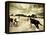 Horses Running and Playing in Barren Field-Jan Lakey-Framed Premier Image Canvas