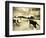 Horses Running and Playing in Barren Field-Jan Lakey-Framed Photographic Print