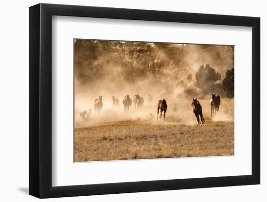 Horses Running in Dust with Wranglers on New Mexico Ranch-Sheila Haddad-Framed Photographic Print