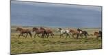 Premium Photographic Print