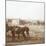 Horses, Somme-Tourbe, northern France, c1914-c1918-Unknown-Mounted Photographic Print