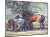 Horses - Summer Flies, 1990-Jennifer Wright-Mounted Giclee Print
