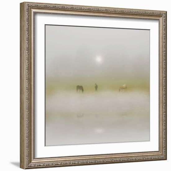 Horses Through the Mists-Adrian Campfield-Framed Photographic Print