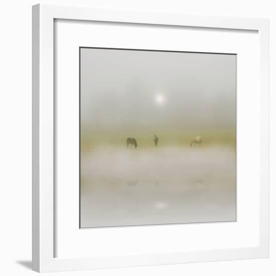 Horses Through the Mists-Adrian Campfield-Framed Photographic Print