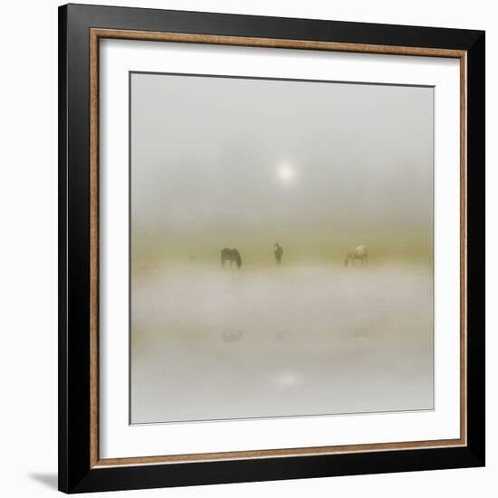 Horses Through the Mists-Adrian Campfield-Framed Photographic Print