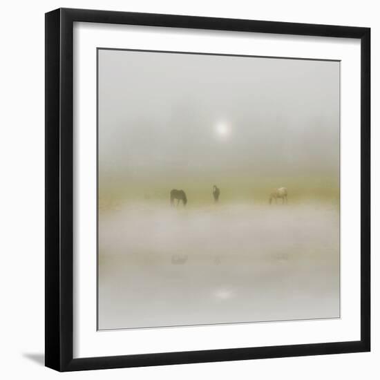 Horses Through the Mists-Adrian Campfield-Framed Photographic Print