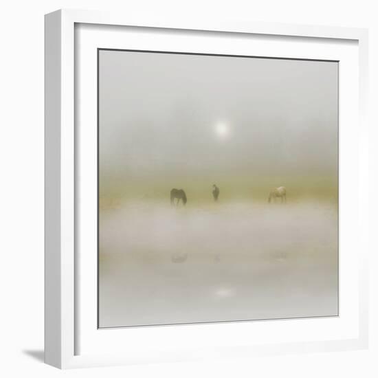 Horses Through the Mists-Adrian Campfield-Framed Photographic Print