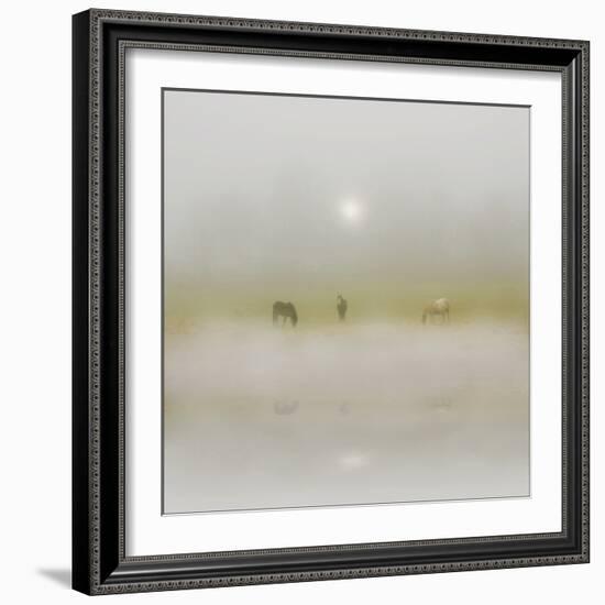 Horses Through the Mists-Adrian Campfield-Framed Photographic Print