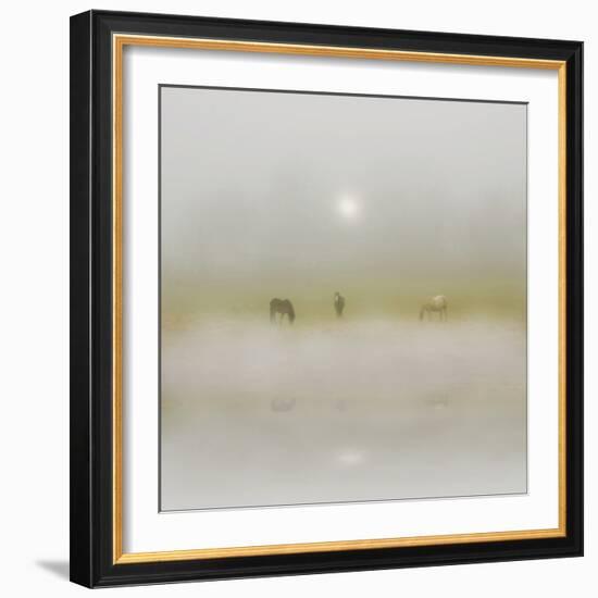 Horses Through the Mists-Adrian Campfield-Framed Photographic Print