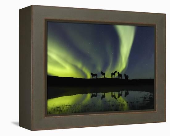 Horses under the Aurora Borealis-null-Framed Premier Image Canvas