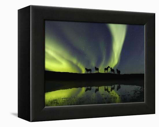 Horses under the Aurora Borealis-null-Framed Premier Image Canvas